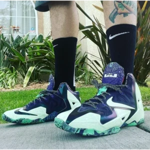 Nike Air Lebron 11 Gator King Shoes for Men (SW4698)