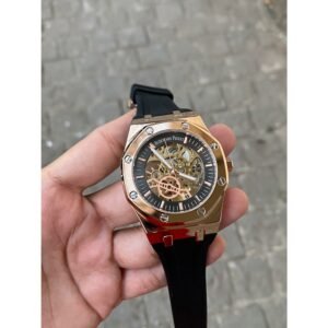 Mechanical Skeleton Audemars Piguet Watch Men (SG-389)