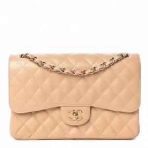 Chanel Handbag For Women (J893)