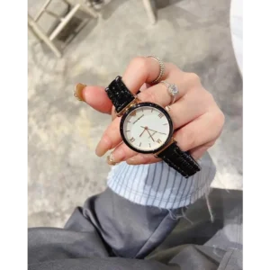 Emporio Armani Watch For Women (DW080)