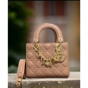 Dior Handbag For Women (SW5318)