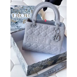 Christian Dior Handbag For Women (J886)