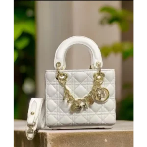 Dior Handbag For Women (SW5317)