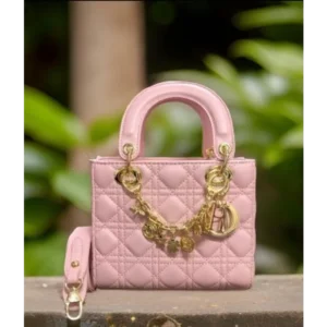 Dior Handbag For Women (SW5319)