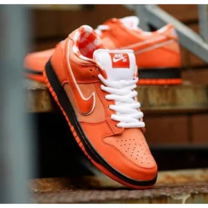Nike Sb Dunk Low Orange Lobster Shoes For Men (FST1207)