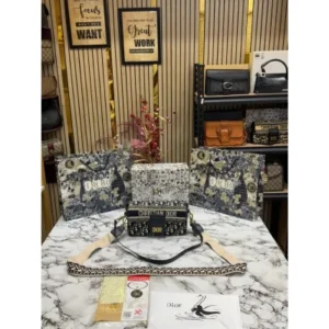 Luxurious Christian Dior Handbag For Women
