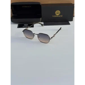 Police Sunglasses (SW2102)