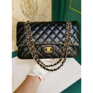 Chanel Handbag For Women (SW2176)