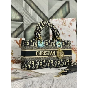 Christian Dior Handbag For Women (SFS13)