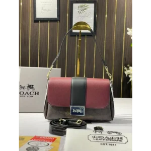 Coach Handbag For Women (SFS24)