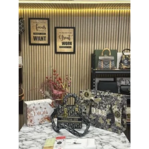 Dior Handbag For Women (FT260)