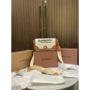 Burberry Handbag For Women (FT214)