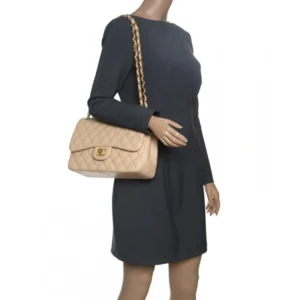 Chanel Handbag For Women (FT216)