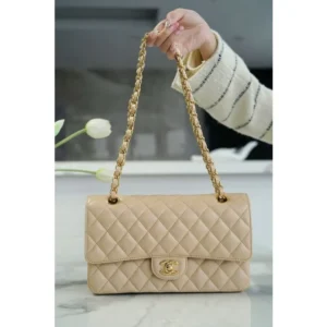 Chanel Handbag For Women (SUP1306)