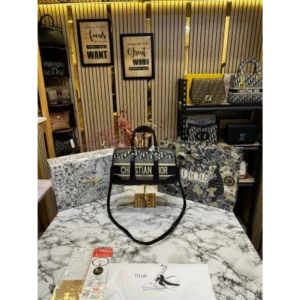 Dior Handbag For Women (BOT1041)