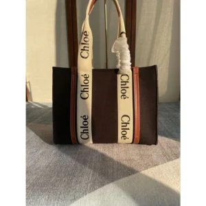 Chloe Canvas Handbag For Women (BOT2245)