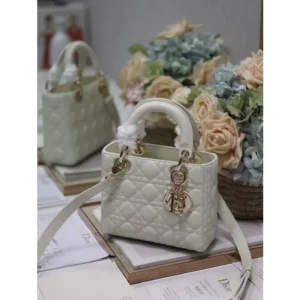 Christian Dior Leather Handbag With Og Box & Dust Bag For Women (FT624)