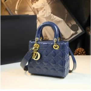 Christian Dior Leather Handbag With Og Box & Dust Bag For Women (FT634)