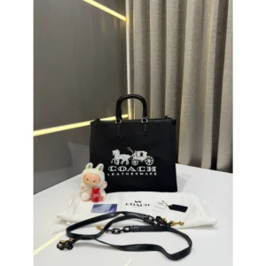 Coach leather Tote Bag With Dust Bag For Women (LAB1135)